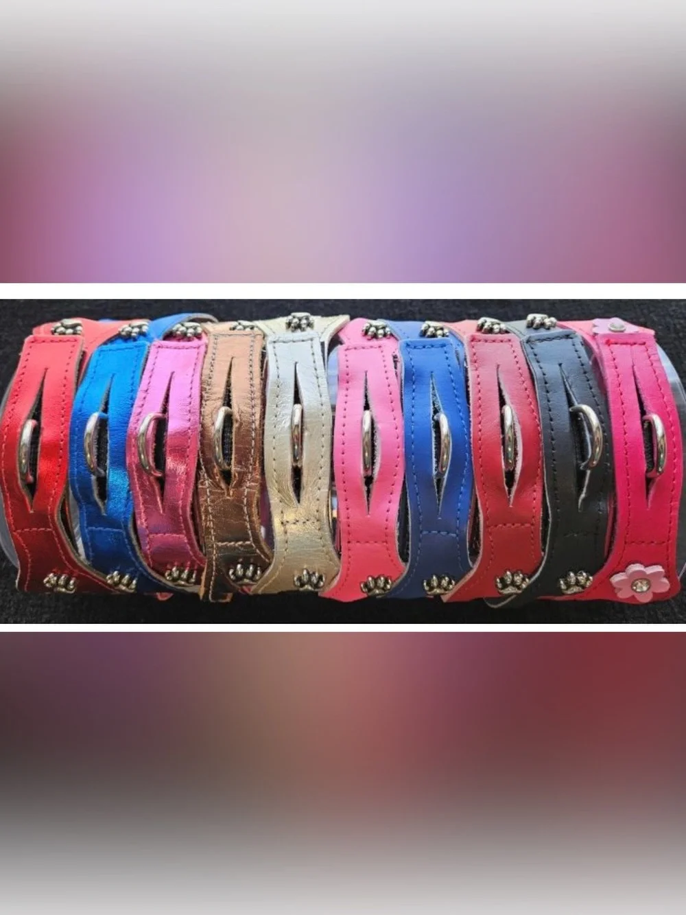 Black Leather Step-in Choke Free   Leather with silver paw accents 23 inches